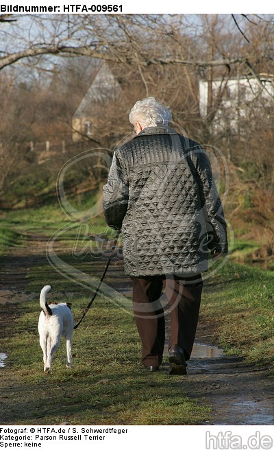 Frau mit Parson Russell Terrier / woman with PRT / HTFA-009561