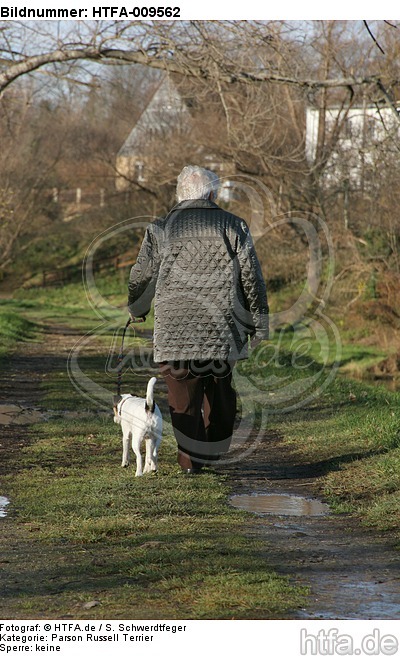 Frau mit Parson Russell Terrier / woman with PRT / HTFA-009562