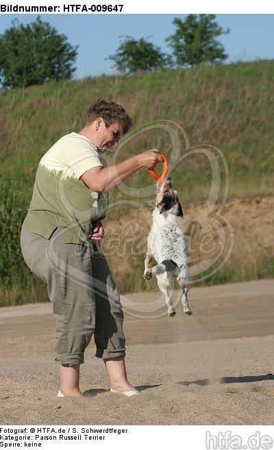 Frau spielt mit Parson Russell Terrier / woman plays with PRT / HTFA-009647