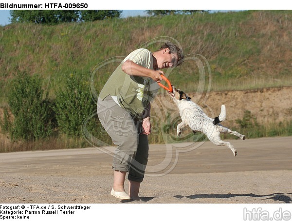 Frau spielt mit Parson Russell Terrier / woman plays with PRT / HTFA-009650