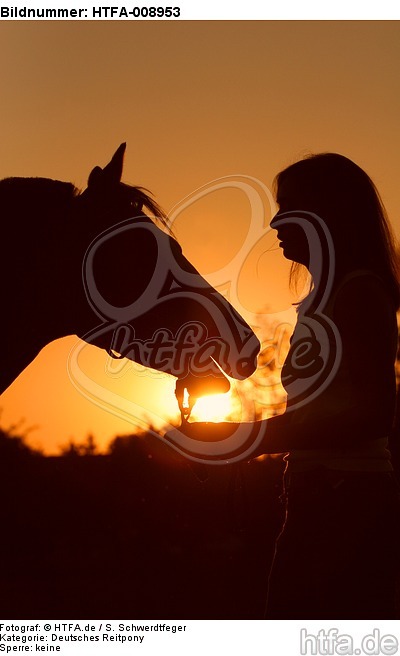 Frau und Deutsches Reitpony im Abendlicht / woman and pony / HTFA-008953