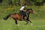 Frau reitet Deutsches Reitpony / woman rides pony