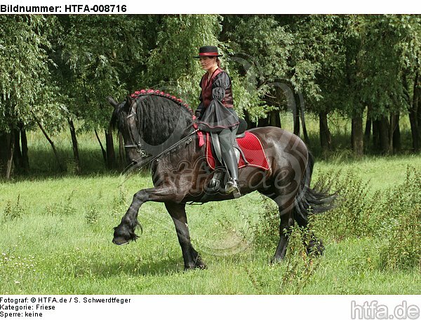 Frau reitet Friese / woman rides friesian horse / HTFA-008716