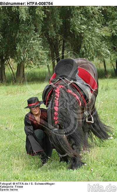 Frau mit Friese / woman and friesian horse / HTFA-008754