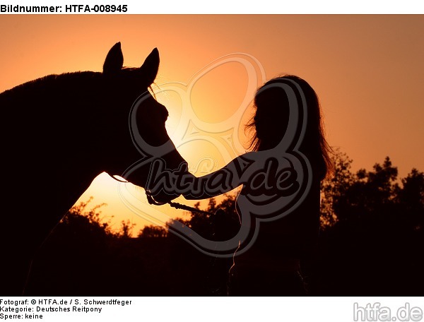 Frau und Deutsches Reitpony im Abendlicht / woman and pony / HTFA-008945