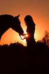 Frau und Deutsches Reitpony im Abendlicht / woman and pony