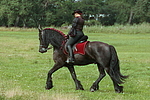 Frau reitet Friese / woman rides friesian horse