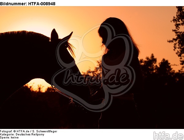 Frau und Deutsches Reitpony im Abendlicht / woman and pony / HTFA-008948