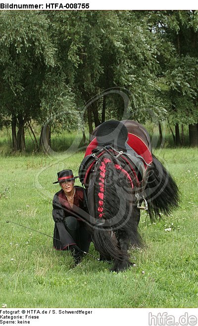 Frau mit Friese / woman and friesian horse / HTFA-008755