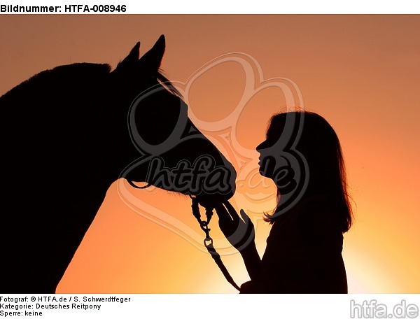 Frau und Deutsches Reitpony im Abendlicht / woman and pony / HTFA-008946