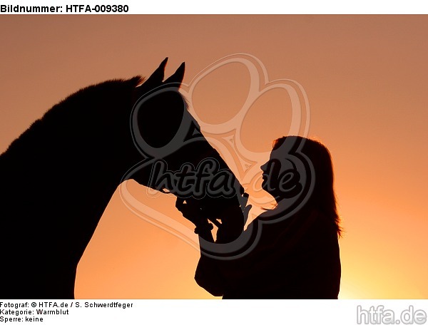 Frau und Warmblut / woman and warmblood / HTFA-009380