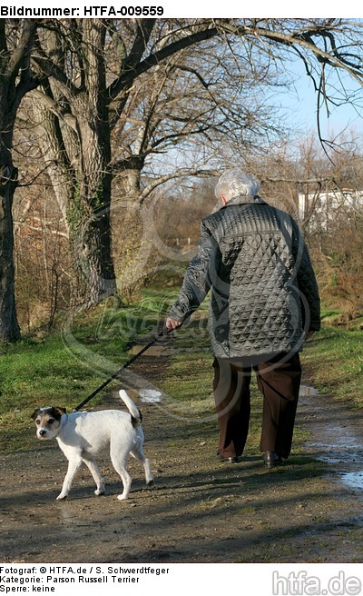 Frau mit Parson Russell Terrier / woman with prt / HTFA-009559