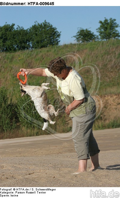 Frau spielt mit Parson Russell Terrier / woman plays with PRT / HTFA-009645