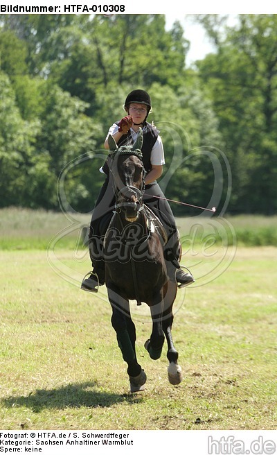 Ringreiten / riding / HTFA-010308