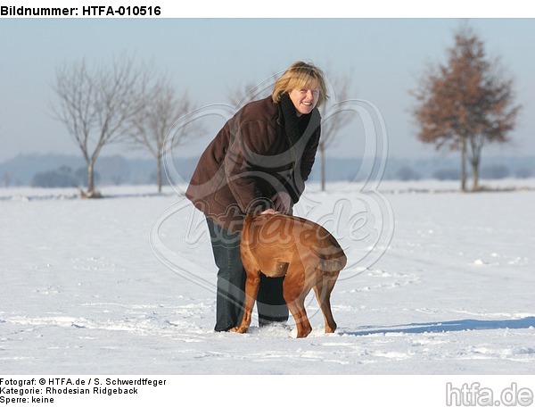 Frau mit Rhodesian Ridgeback / woman with Rhodesian Ridgeback / HTFA-010516