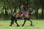 Frau reitet Friese / woman rides friesian horse