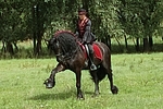 Frau reitet Friese / woman rides friesian horse