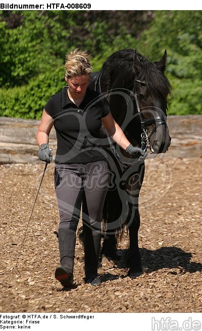 Frau führt Friese / woman with friesian horse / HTFA-008609