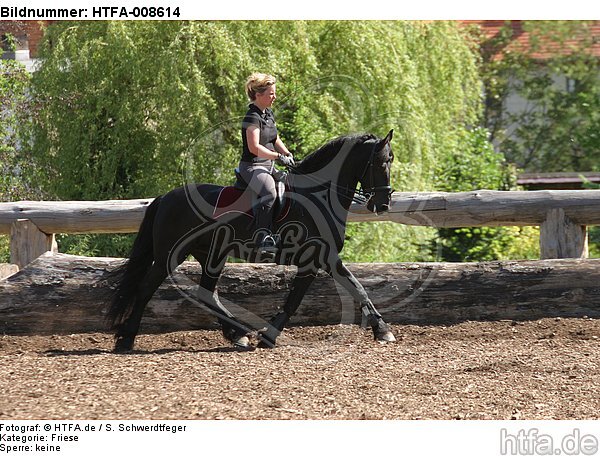 Frau reitet Friese / woman rides friesian horse / HTFA-008614