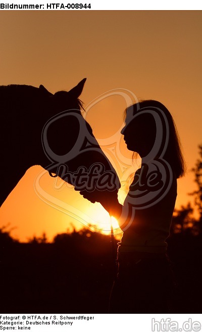 Frau und Deutsches Reitpony im Abendlicht / woman and pony / HTFA-008944