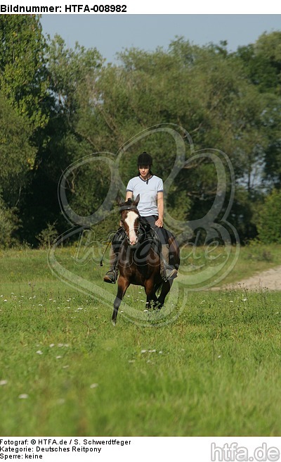 Frau reitet Deutsches Reitpony / woman rides pony / HTFA-008982