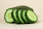 Gurke / cucumber